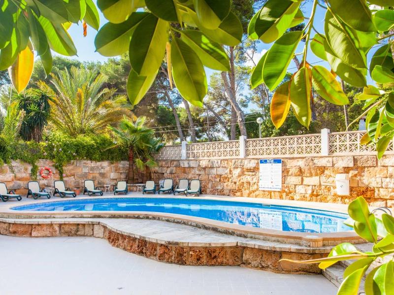 Schwimmbecken mit blauer Wasserfläche, umgeben von Steinmauer und grünen Pflanzen im Sonnenschein.