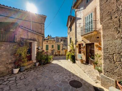 Sonnige gepflasterte Gasse mit historischen Gebäuden und Pflanzen in Töpfen
