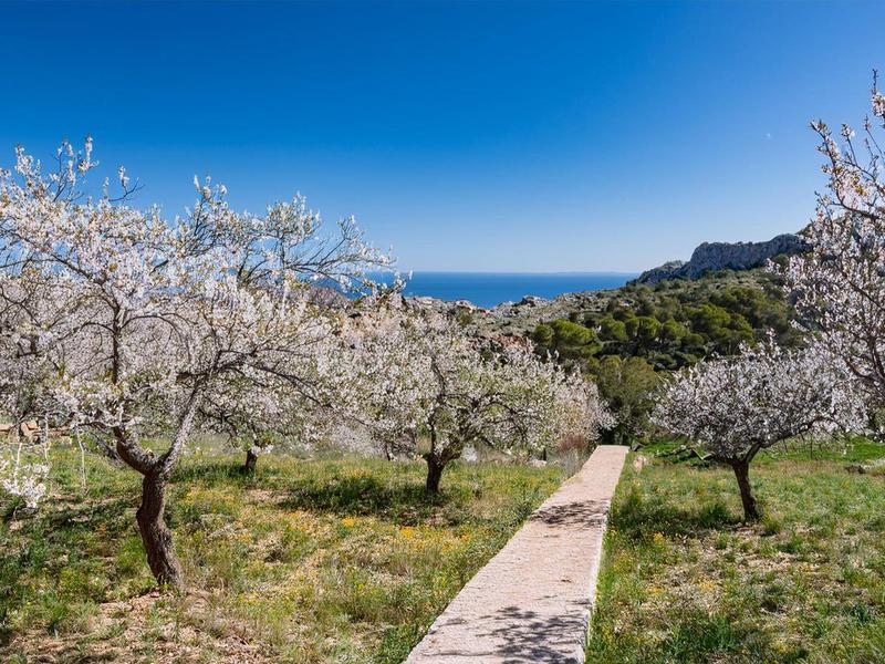 Moderner Buffetbereich mit vielfältigen Speisen, hellem Design und runden Lampen an der Decke.
