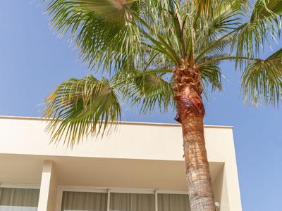Alta palma accanto a un hotel moderno con terrazza e sedie sotto un cielo azzurro limpido.