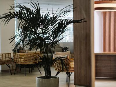 Large potted plant inside a modern hotel with chairs and tables in the background
