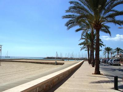 Kühler Sandstrand mit Palmen, Hafen mit Segelbooten und klarer blauer Himmel.