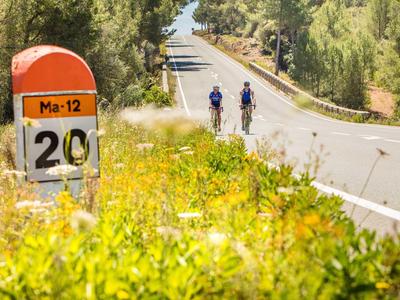 Landstraße mit Entfernungsmarkierung, grünen Büschen und zwei Radfahrern auf dem Asphalt.