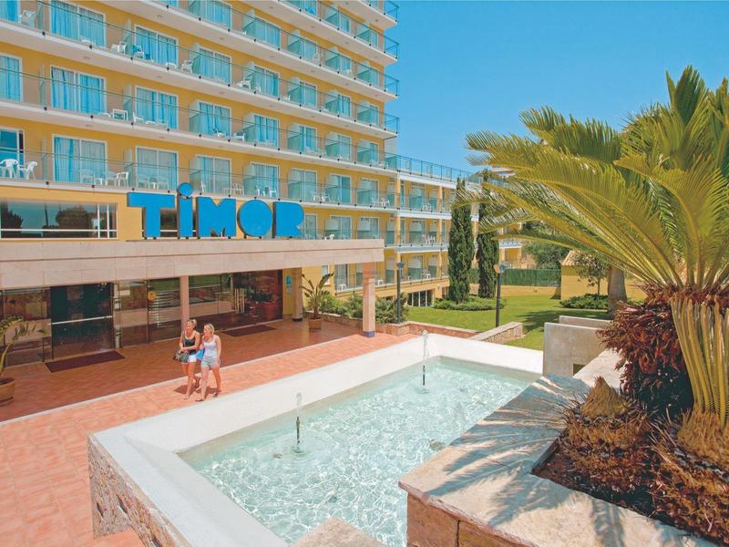 Weißrosa Blüten an kahlen Ästen vor klarem blauem Himmel, im Frühling.