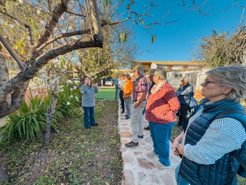Gruppe älterer Menschen hört im Garten unter Bäumen einer Frau zu, klare blaue Himmel im Hintergrund.