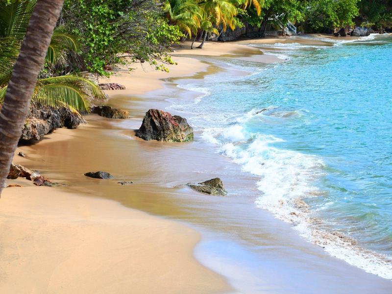 Tropischer Sandstrand mit Palmen, Felsen und klarem blauem Wasser am Ufer.