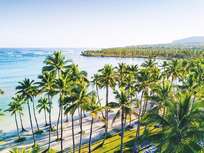 Strand mit vielen hohen Palmen, blauem Meer und klarem Himmel im Sonnenlicht.