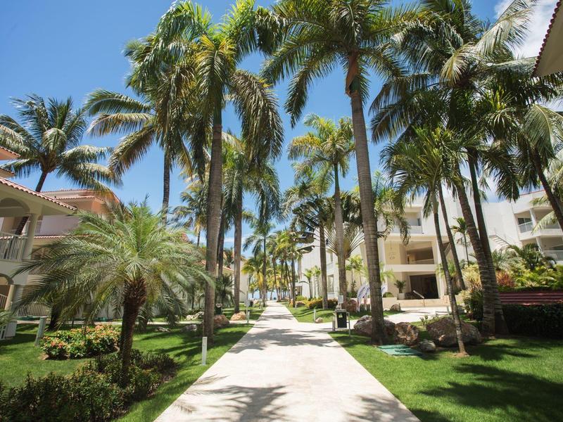 Breiter Gehweg mit hohen Palmen, grünen Rasenflächen und mehrstöckigen Wohngebäuden bei blauem Himmel.