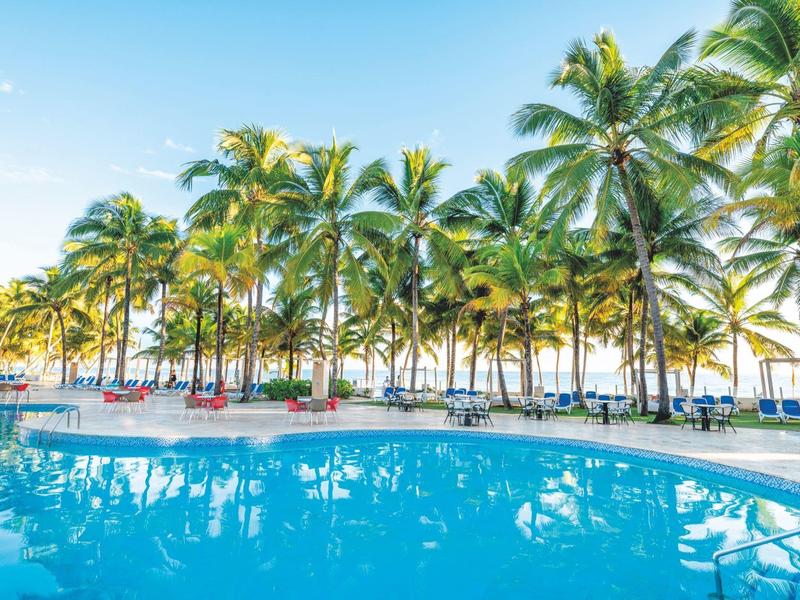 Ein klarer blauer Pool umgeben von zahlreichen hohen Palmen unter hellem Himmel.