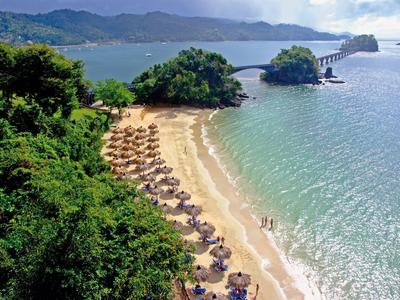 Beach with sun umbrellas beside green forest and clear seawater under blue sky.