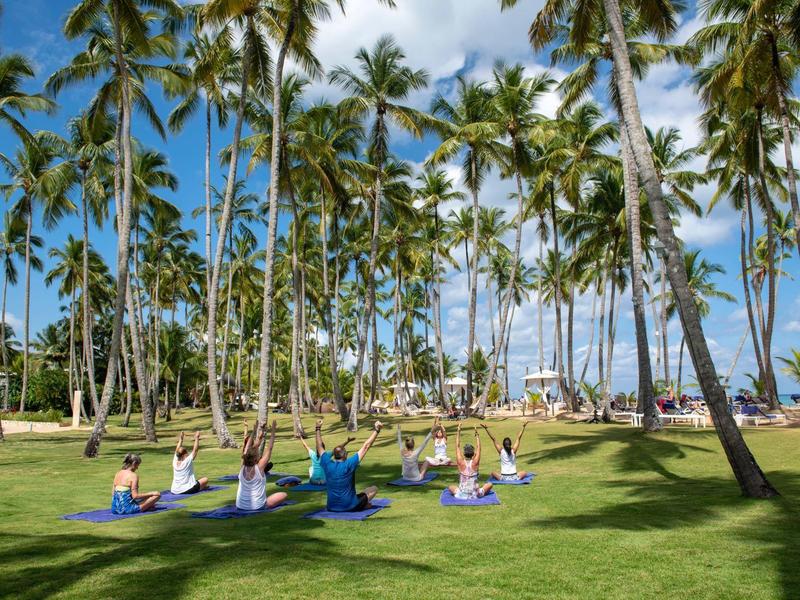 Gruppe sitzt im Kreis auf grüner Wiese unter vielen hohen Palmen bei blauem Himmel.