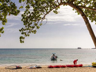 Beach with boat, surfboards, and trees in calm weather