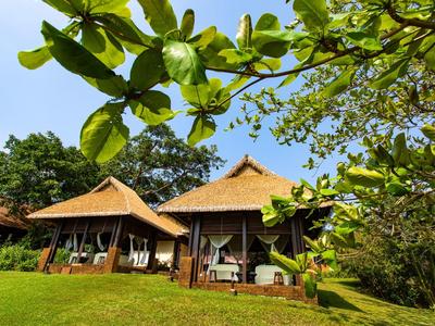 Zwei traditionelle Holzhäuser mit Strohdächern umgeben von grünem Gras und Bäumen bei blauem Himmel.