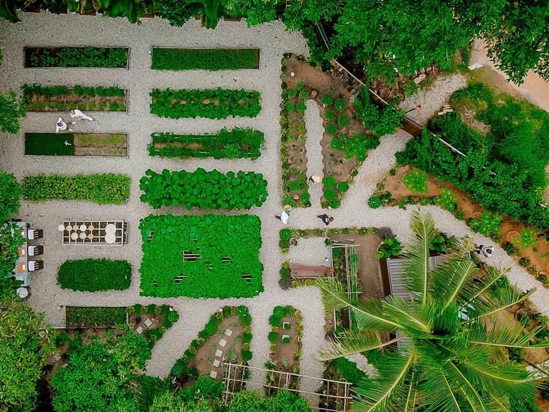 Luftaufnahme eines Gartens mit rechteckigen Pflanzenbeeten, Pfaden und Palmen, umgeben von Gras.