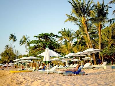 Beach with lounge chairs and white umbrellas surrounded by palm trees in sunlight.