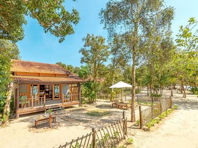Cozy wooden cabin surrounded by trees with outdoor seating on a sunny day