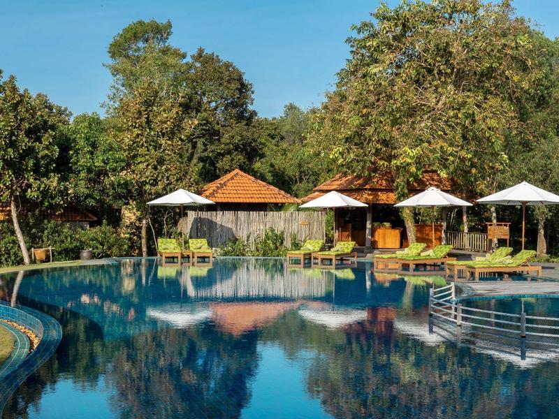 Outdoor pool area with lounge chairs and umbrellas surrounded by trees and clear sky.