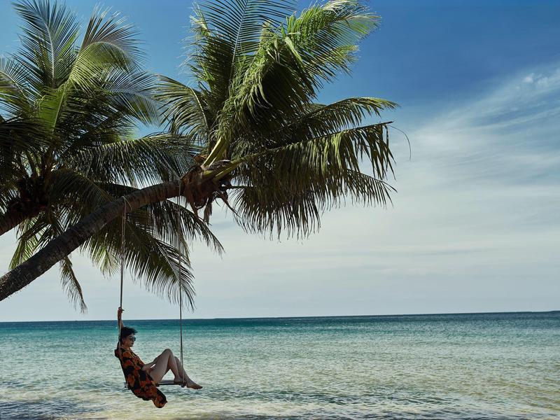 Una persona se columpia bajo palmeras en la tranquila playa con cielo azul y mar de fondo.