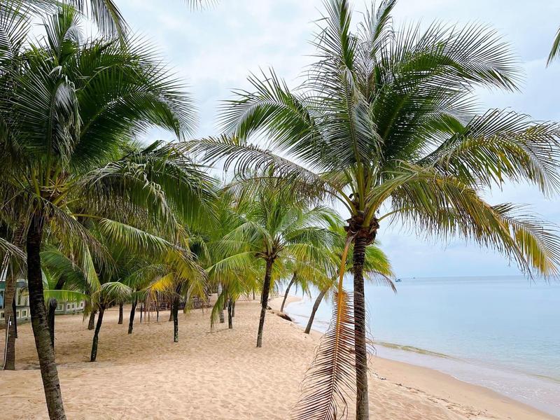 Strand mit goldfarbenem Sand, blauen Meer und zahlreichen grünen Palmen unter bewölktem Himmel.