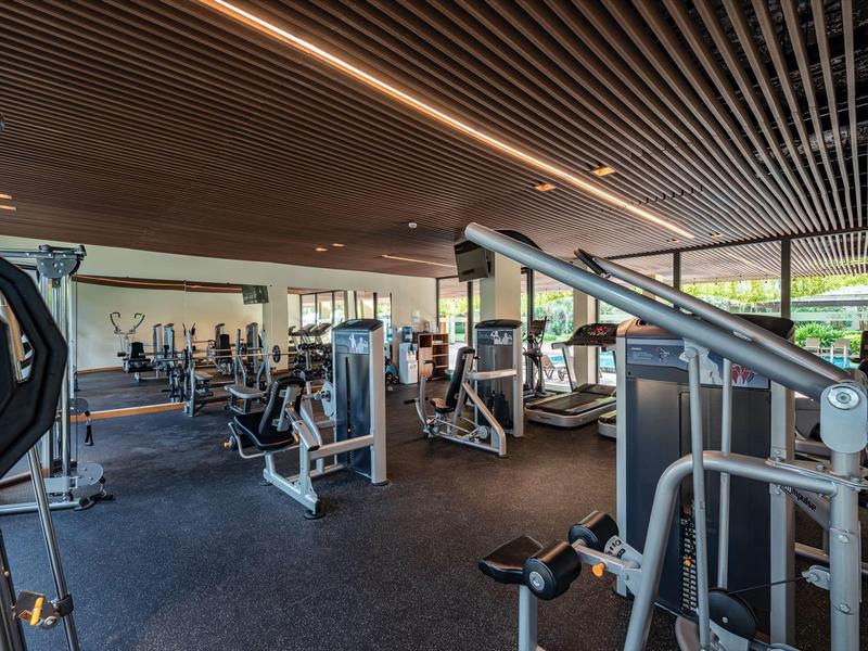 Moderner Fitnessraum mit verschiedenen Kraftgeräten, Holzdecke und großen Fenstern für Tageslicht.