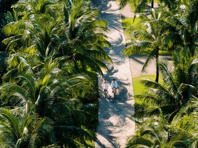 Schmaler Weg durch dichte Palmen in tropischem Resort bei Sonnenschein