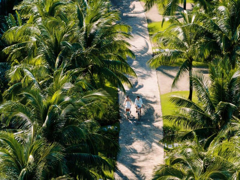 Palmen gesäumter Weg mit Radfahrern in tropischer Umgebung