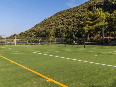 Leerer Tennisplatz mit grünem Belag und Berg im Hintergrund bei klarem Himmel.