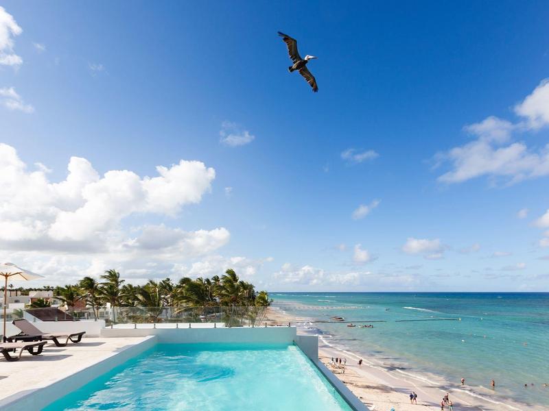Strand mit weißem Sand, türkisfarbenem Meer, Infinity-Pool, Liegestühlen und fliegendem Vogel am blauen Himmel.