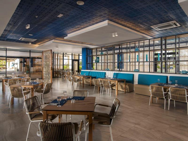 Moderner Gastraum mit Holztischen, Stühlen und blauem Deckendetail in hellem, freundlichem Ambiente.