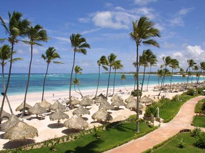 Beach with palm trees, thatched umbrellas, and blue sea under clear sky.