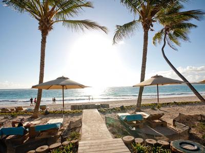 Beach with palm trees, lounge chairs, and umbrellas at sunset by the sea.