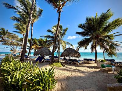Beach with palm trees, sun umbrellas, and lounge chairs by turquoise sea under blue sky.