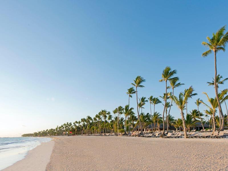 Široká písčitá pláž s palmami a čistou oblohou u moře za slunečného dne.