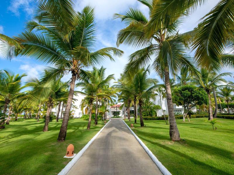 Cesta lemovaná palmami a zelenou trávou vede k letovisku pod modrou oblohou.