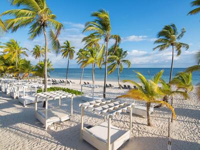 Beach with white sunbeds and palm trees under a blue sky by the sea.