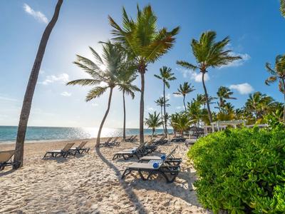 Beach with palm trees and lounge chairs under blue sky by the sea