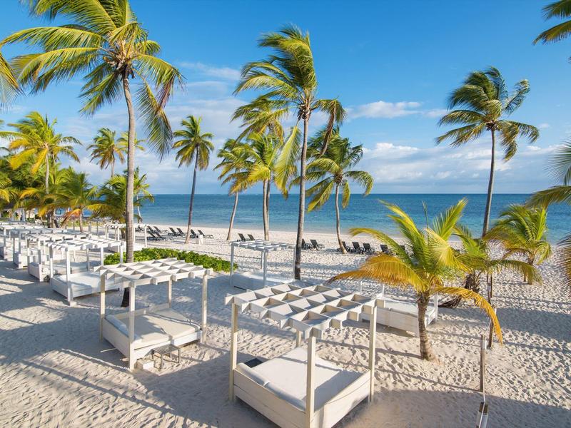 Beach with white sunbeds and palm trees under a blue sky by the sea.