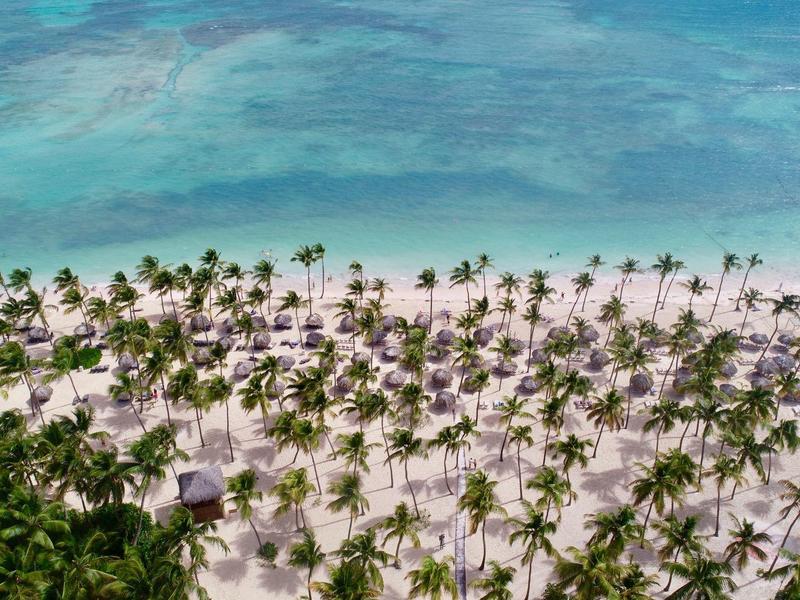 White sandy beach with palm trees and clear turquoise water in a tropical setting.