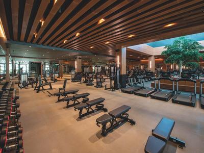 Moderner Fitnessraum mit Holzdecke, zahlreichen Geräten, Hanteln und großen Fenstern.