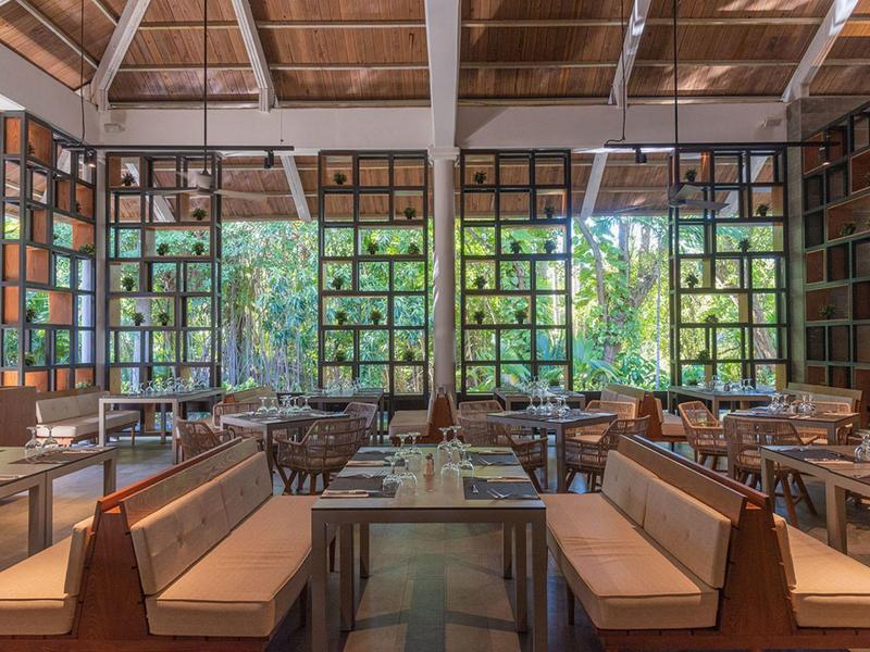 Restaurante luminoso con bancos y mesas de madera y grandes ventanales con vista al verde.