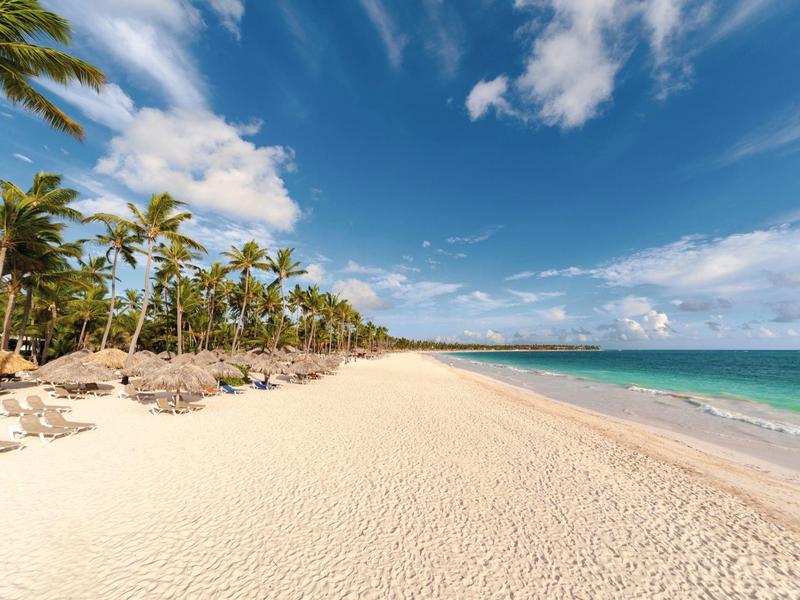 Una amplia playa de arena con palmeras y cielo azul claro a lo largo de una costa tranquila.