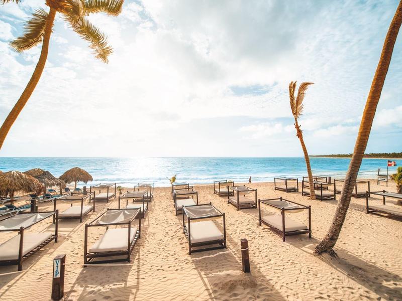 Strand met ligstoelen en palmbomen bij zee onder heldere lucht en zon
