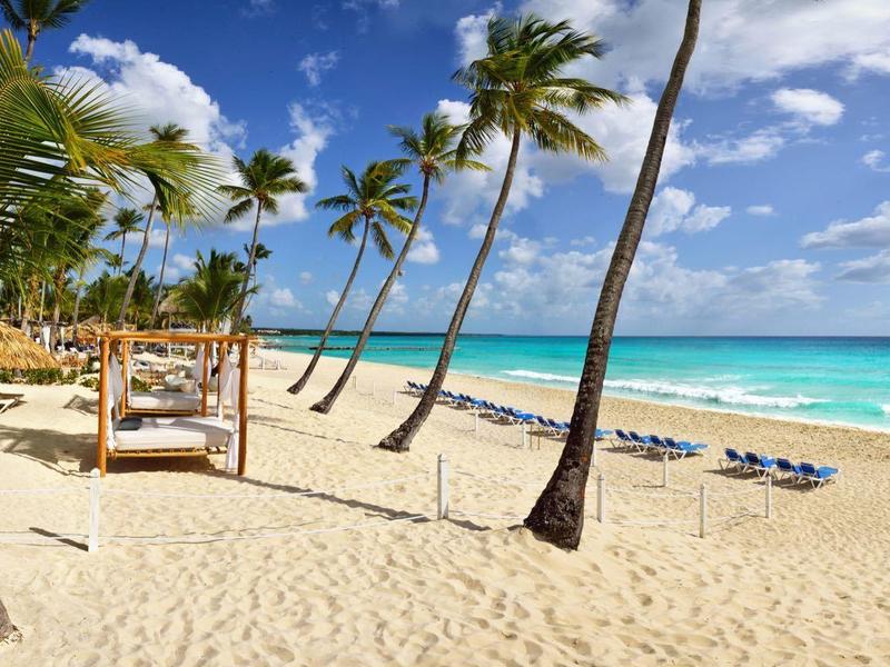 Plage de sable avec palmiers, chaises longues et hamacs sous un ciel bleu au bord de la mer