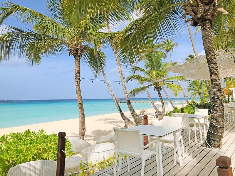 Espace extérieur vide avec des tables et chaises blanches sous des palmiers à la plage