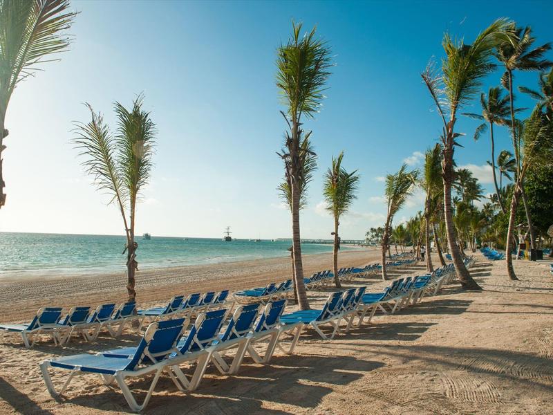 Strand mit blauen Liegestühlen, Reihen von Palmen, Sand und ruhigem Meer unter klarem Himmel.