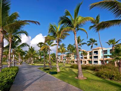 Un camino pavimentado atraviesa un jardín tropical con palmeras hacia un edificio de hotel de varios pisos.