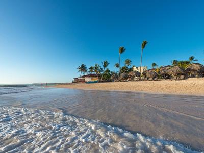Playa con agua clara, arena, palmeras y cielo azul junto al mar.