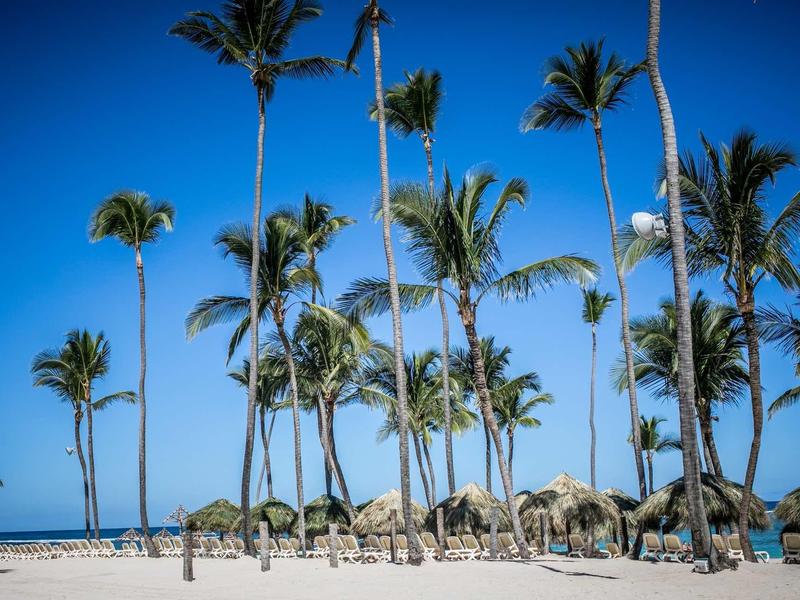 Tall palm trees on white sandy beach with clear blue sky and small thatched huts.