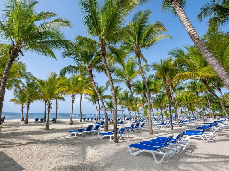 Beach with many palm trees and blue lounge chairs by the sea on a sunny day.