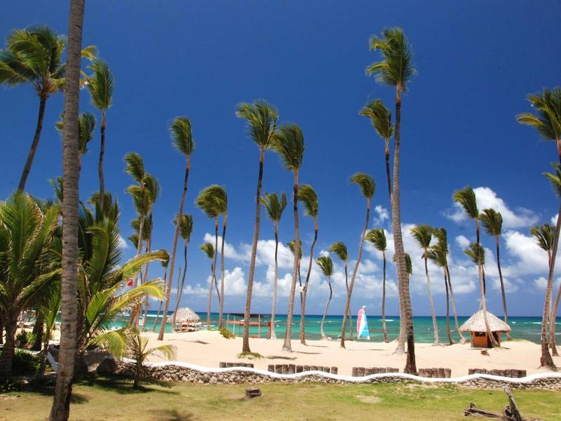 Strand mit weißen Liegestühlen, hohen Palmen und blauem Himmel mit Wolken am Sandufer.